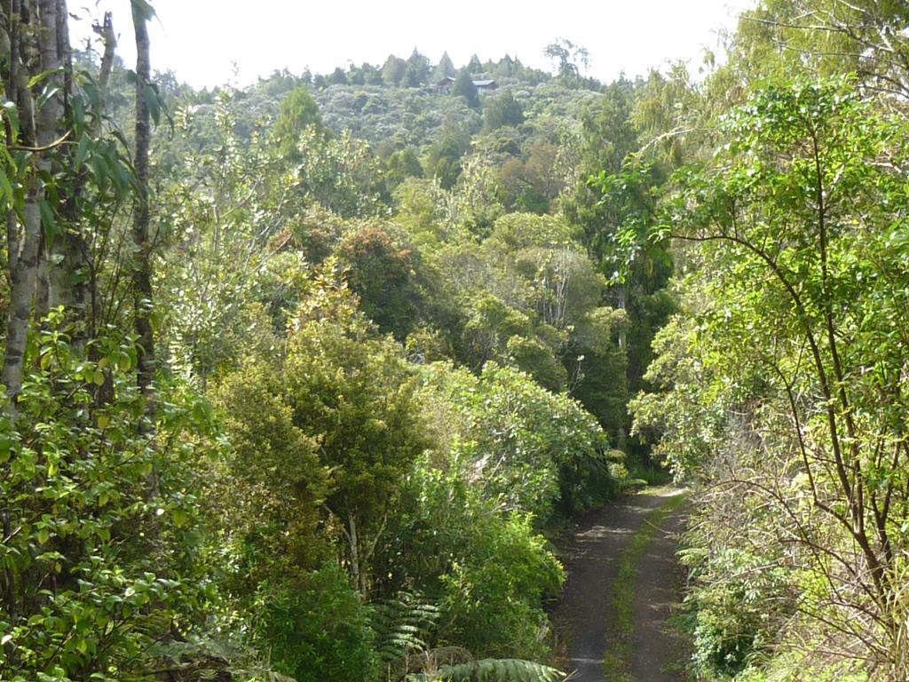 Fern Ridge Hideaway Villa Victoria Valley Exterior foto